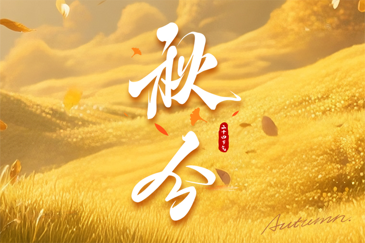 网站.jpg