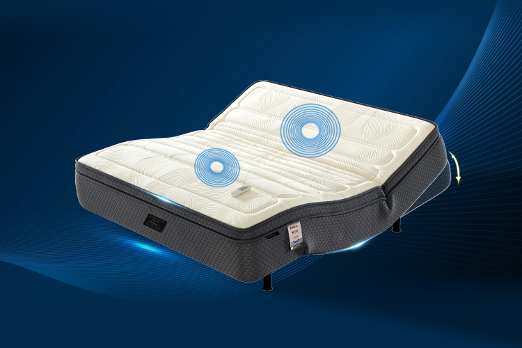 灯箱220cm×283cm - 副本.jpg