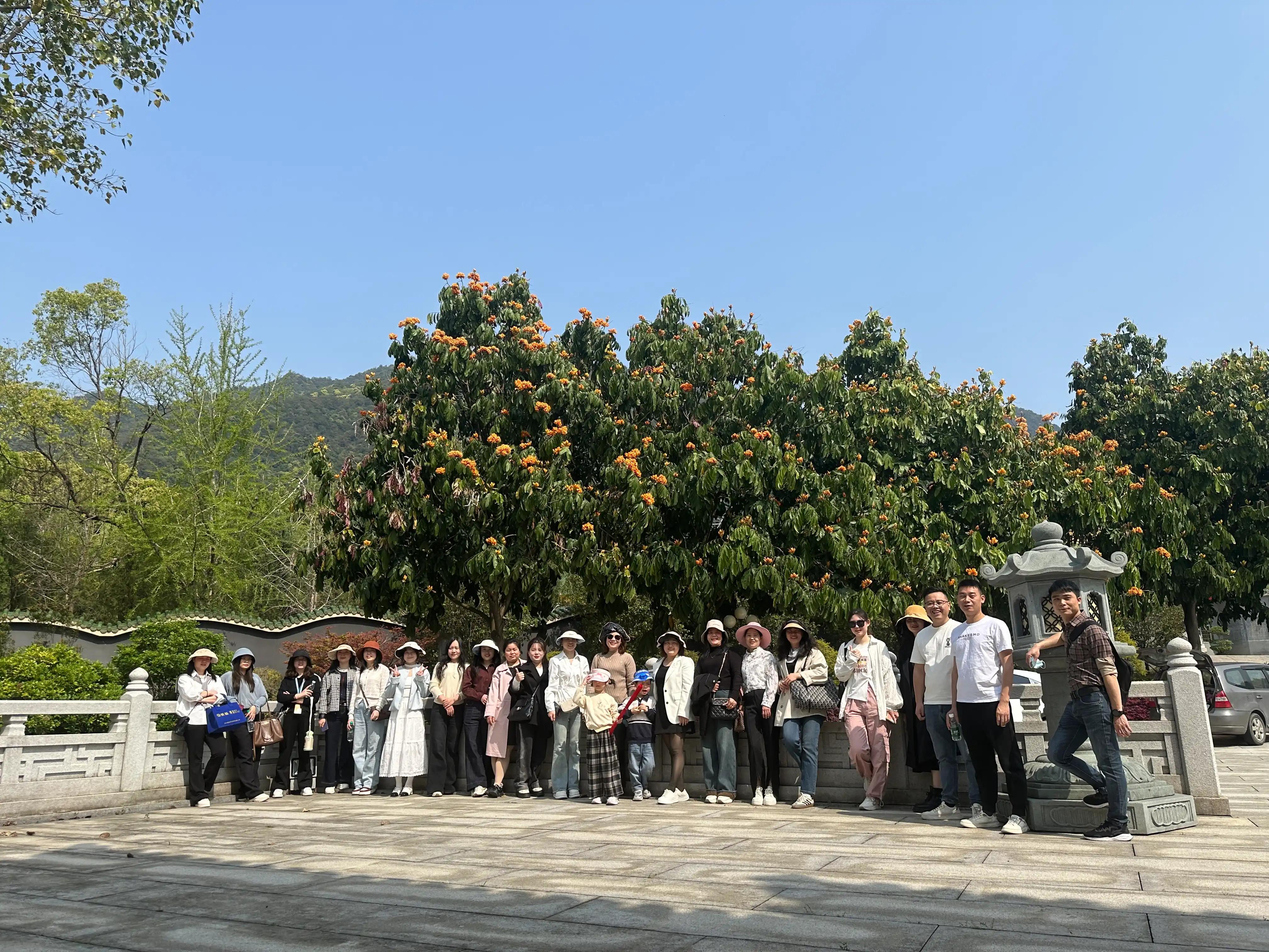 全屋家具 选购指南