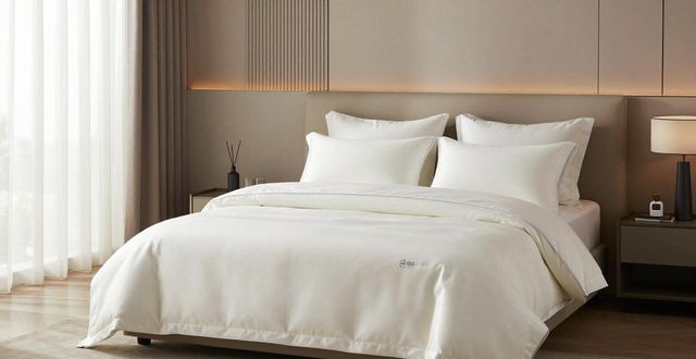 乳胶床垫 行业动态